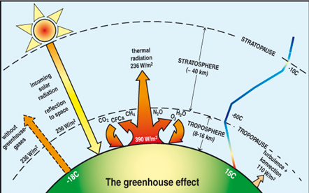 Green House Effect Switched On Kids