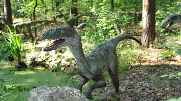 Facts about Velociraptor