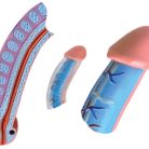 Male Reproductive and Urinary System