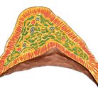 Kidney Anatomy Model