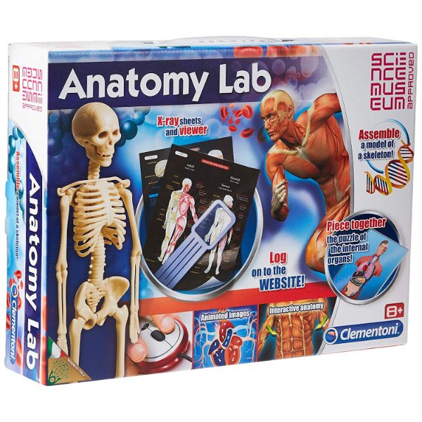 Anatomy Lab