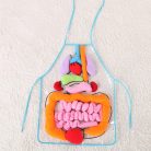 Human Digestive System