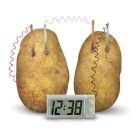 4M - GREEN SCIENCE - POTATO CLOCK 2