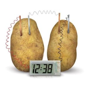 4M - Green Science - Potato Clock - Image 3