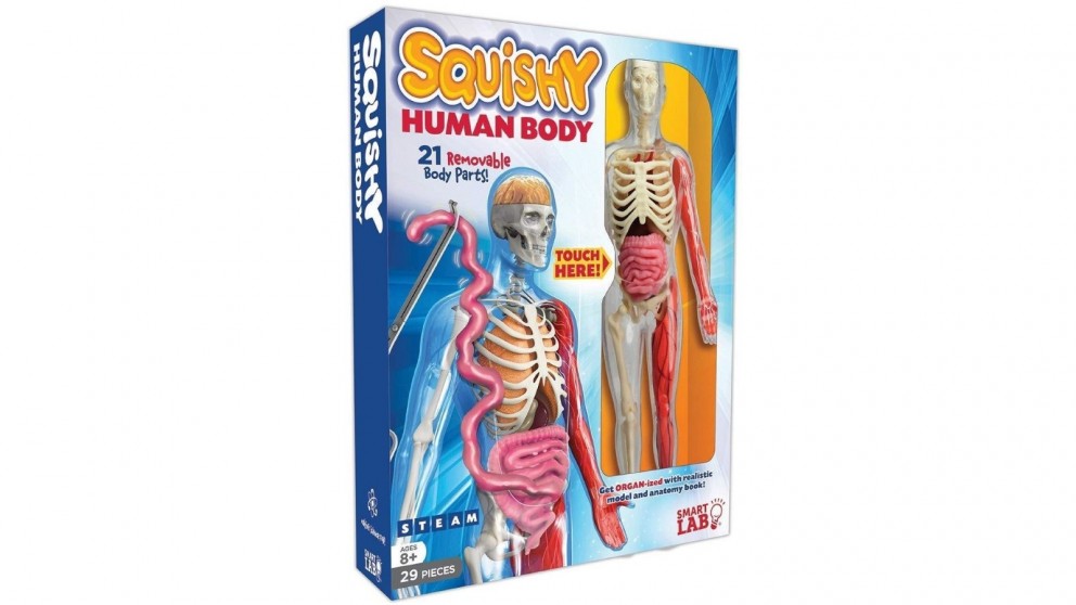 SmartLab Toys Squishy Human Body Switched on kids