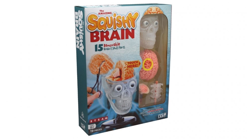 The Amazing Squishy Brain