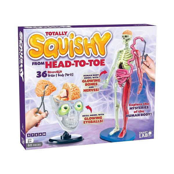 SmartLab Toys Squishy Human Body