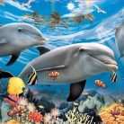 Ravensburger - Caribbean Smile Puzzle 60pc