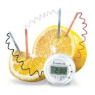 4M - Lemon Clock (2)