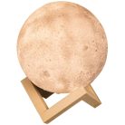 Lunar Nightlight (2)