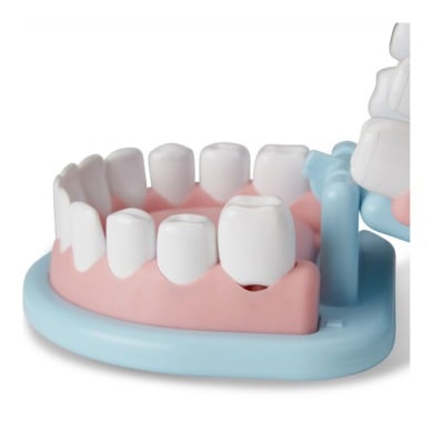dentist kit play set
