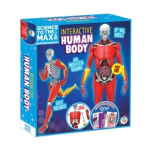 Interactive Human Body