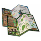 Outdoor-Science-Lab-5