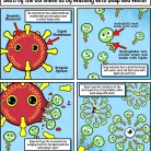 Giant Microbe | Coronavirus COVID-19 (SARS-CoV-2)