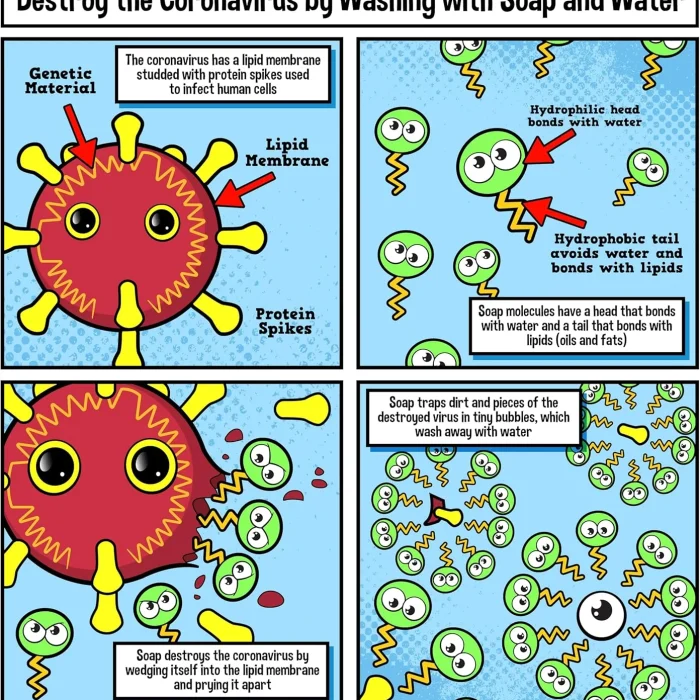 91ZUXbJgCvL._AC_SL1500_ Giant Microbe | Coronavirus COVID-19 (SARS-CoV-2)