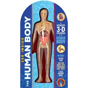 See inside human body