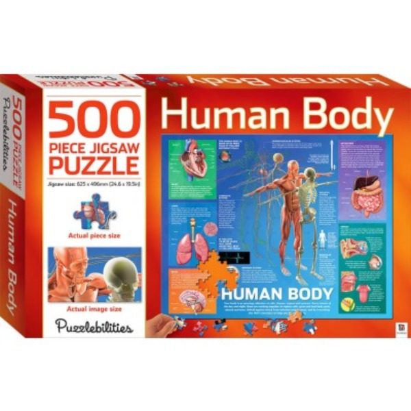 Human Body 500-Piece Jigsaw Puzzle