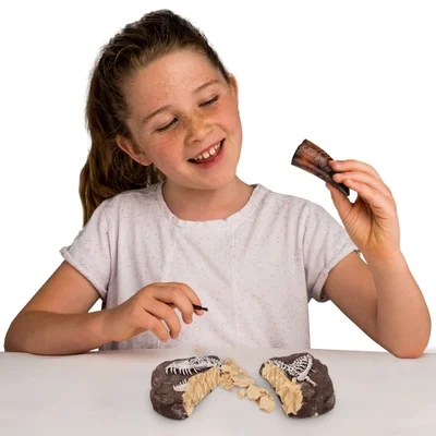 634e5ed707e84513f116d833 National Geographic Dinosaur Dig Kit
