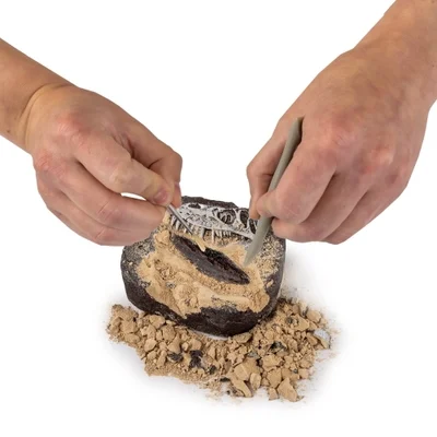 634e5ed707e84513f116d835 National Geographic Dinosaur Dig Kit