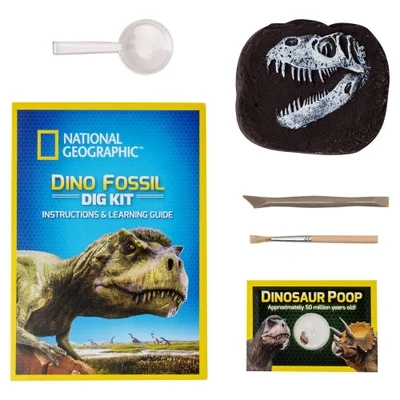 65e06cbb4a0c773c5c130c31 National Geographic Dinosaur Dig Kit