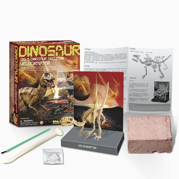 4M Dig a Dinosaur - Velociraptor - Image 4