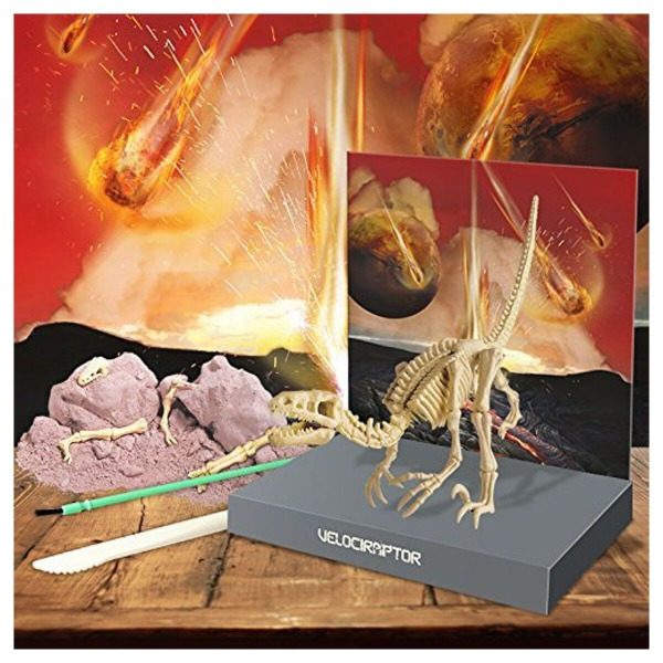 4M Dig a Dinosaur - Velociraptor - Image 5