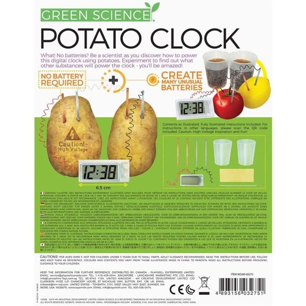 4M - Green Science - Potato Clock - Image 4