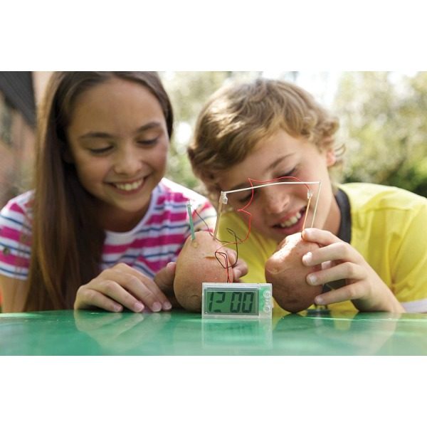 4M - Green Science - Potato Clock - Image 7
