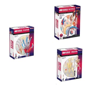 Human Anatomy Multipack - 3