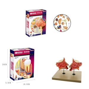 Dentists Toys Set for Kids Learning