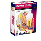 26061-1-removebg-preview