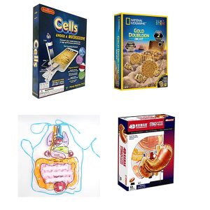 STEM pack for kids Science Kit for Home schooling