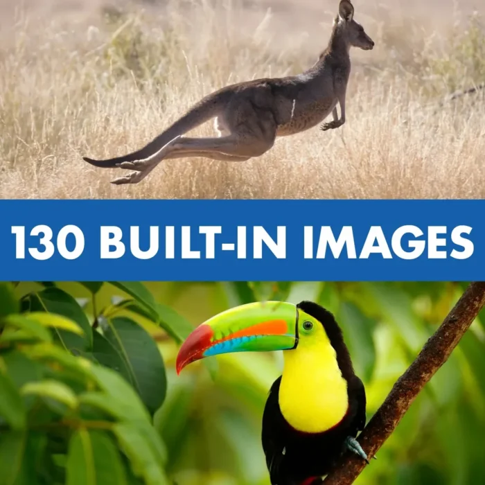 FullSizeRender_3ea75e2c-e120-4721-800d-8e24c789da82
