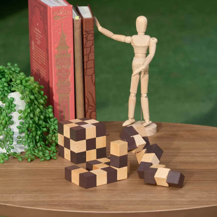 SB-1133-Snake-puzzle-Lifestyle-2SQUARE_869x870