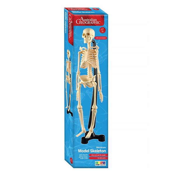 Australian Geographic - Mini-Skeleton 46cm