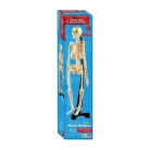 Australian Geographic - Mini-Skeleton 46cm
