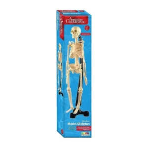 Australian Geographic - Mini-Skeleton 46cm
