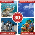 VR Gift Box - Oceans