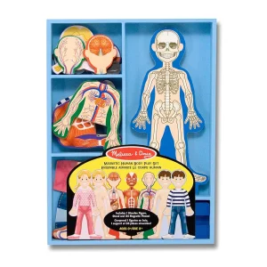 M&D - Human Body Magnetic Dress-Up