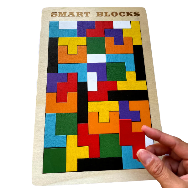 Wooden Intelligence Puzzle - Smart Blocks