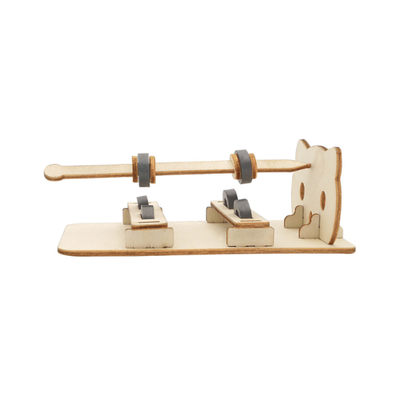 A DIY Magnetic STEM