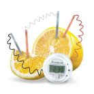 4M-Lemon-Clock-2