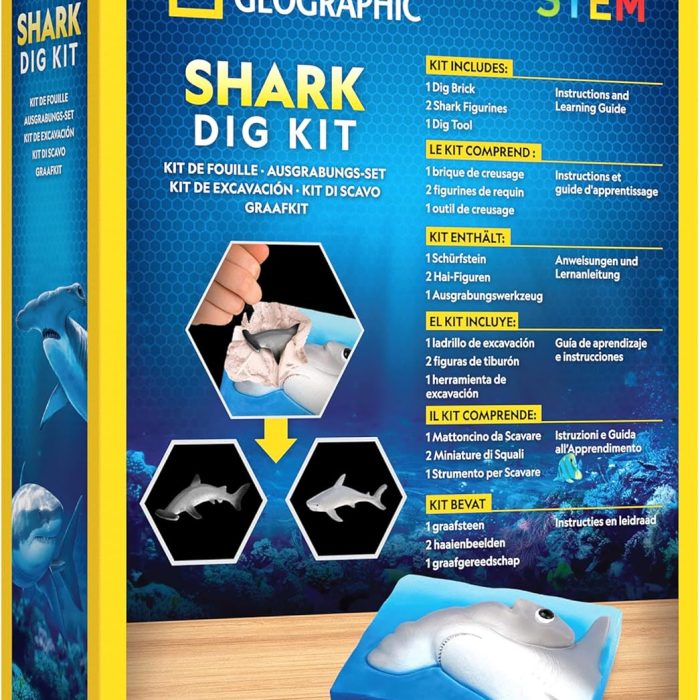 81FZ1WjpZlL._AC_SL1500_