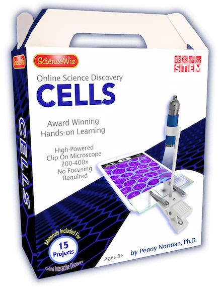 CellsBox