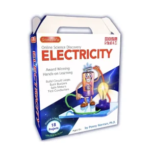 Online Discovery Electricity