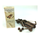 Da Vinci Catapult Mini