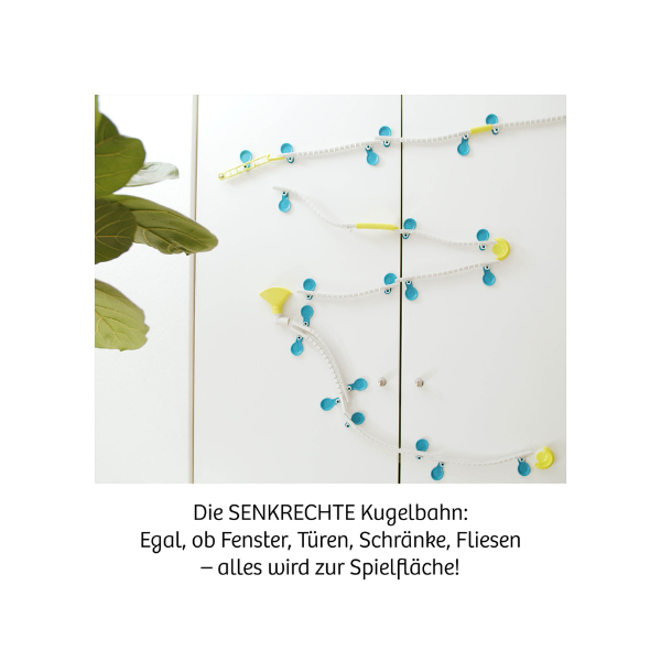 Gecko Run Starter Kit