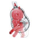 4M Green Science Eco-Tech Bulb