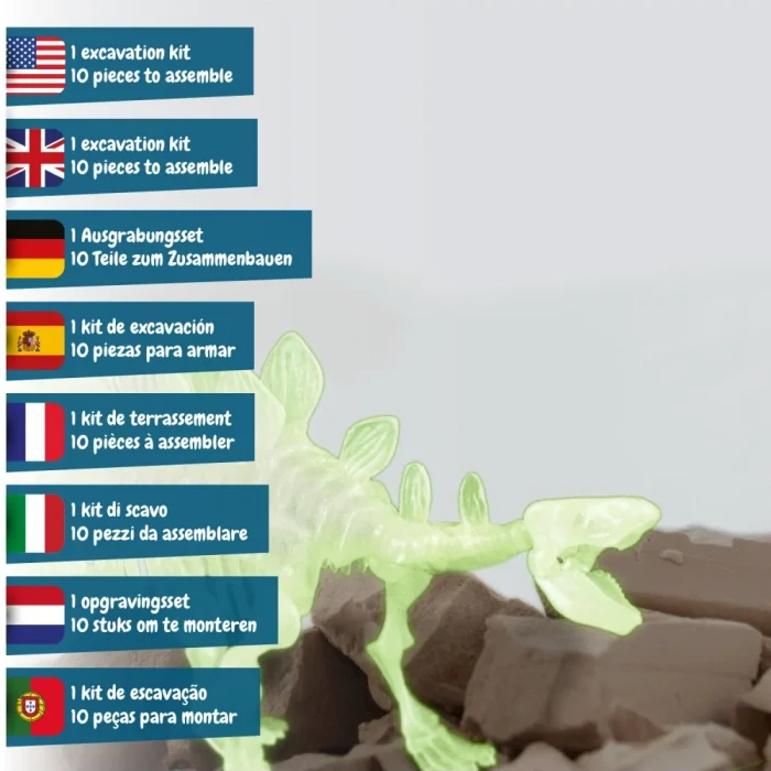 Science 4 You - Stegosaurus Fossil Excavation