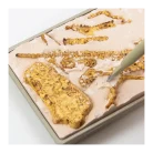 Science4You - T-Rex Fossil Excavation